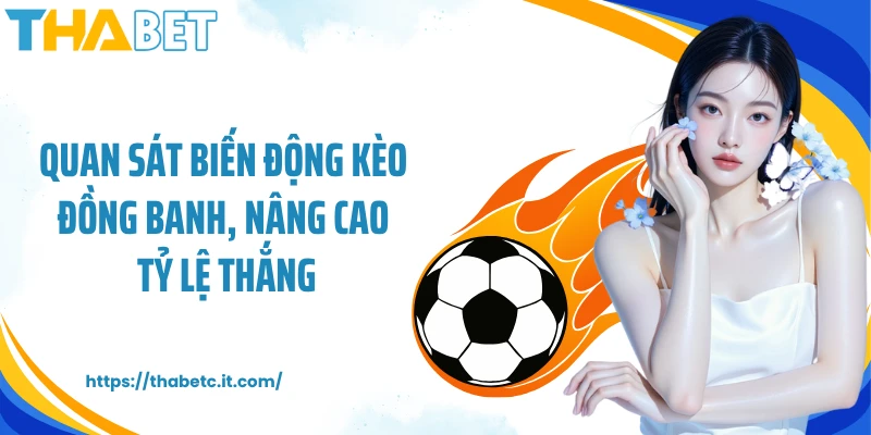 Quan sát biến động kèo đồng banh, nâng cao tỷ lệ thắng